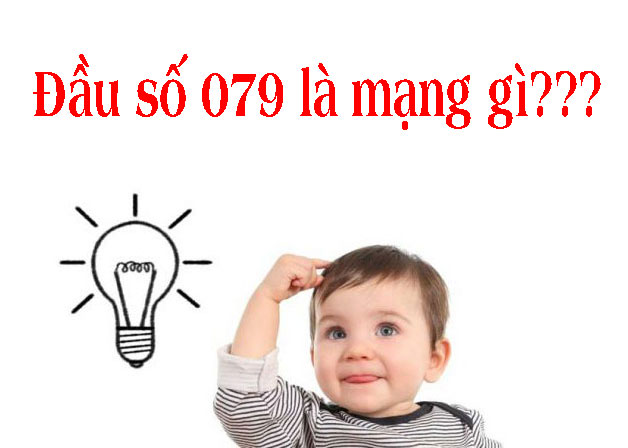 079 là mạng gì?