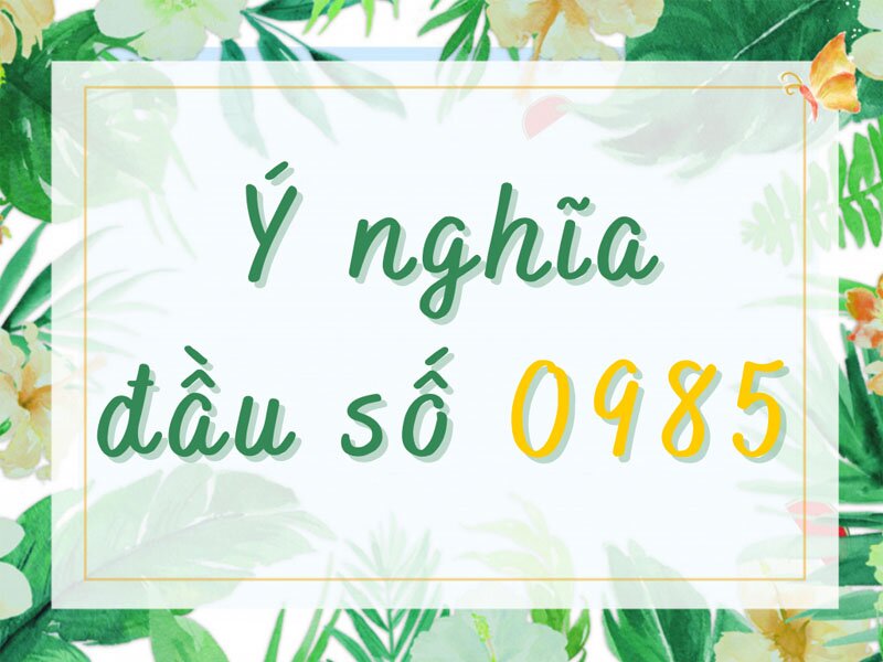 0985 là mạng gì? Ý nghĩa đầu số 0985?