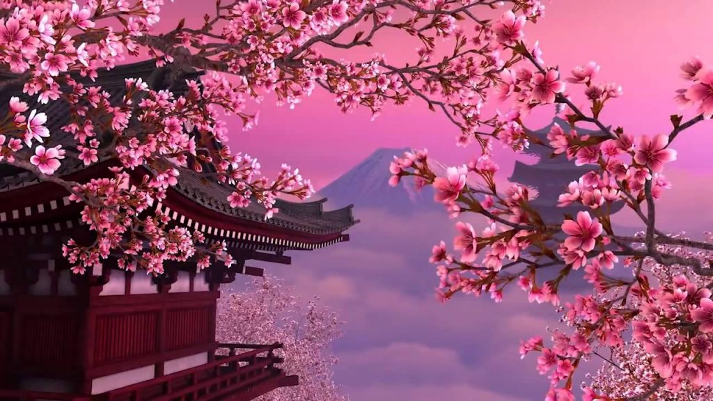 Chùm ảnh hoa anh đào Nhật Bản Anime đẹp, lãng mạn nhất