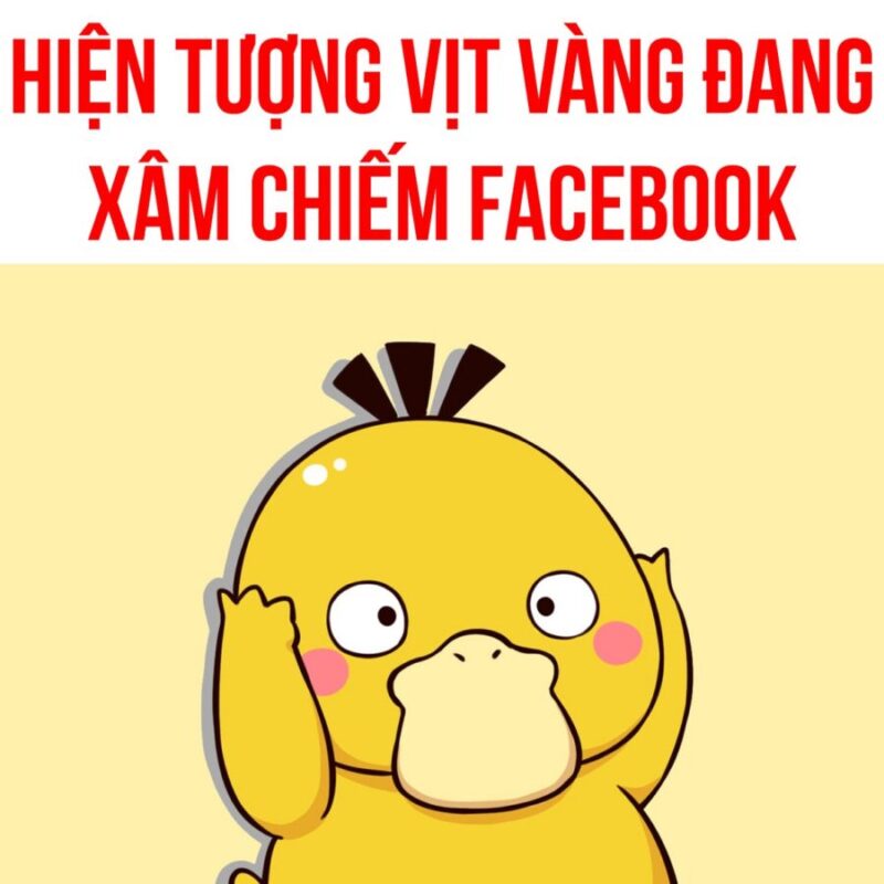 Tại sao trend avatar con vịt màu vàng lại HOT trên MXH?