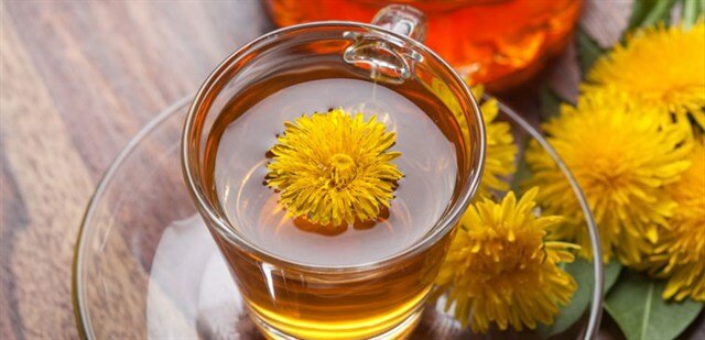 Cách sử dụng cây bồ công anh đúng cách