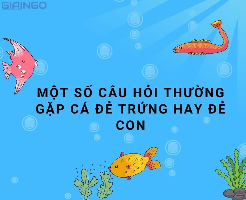 Cá ngựa đẻ trứng hay đẻ con?