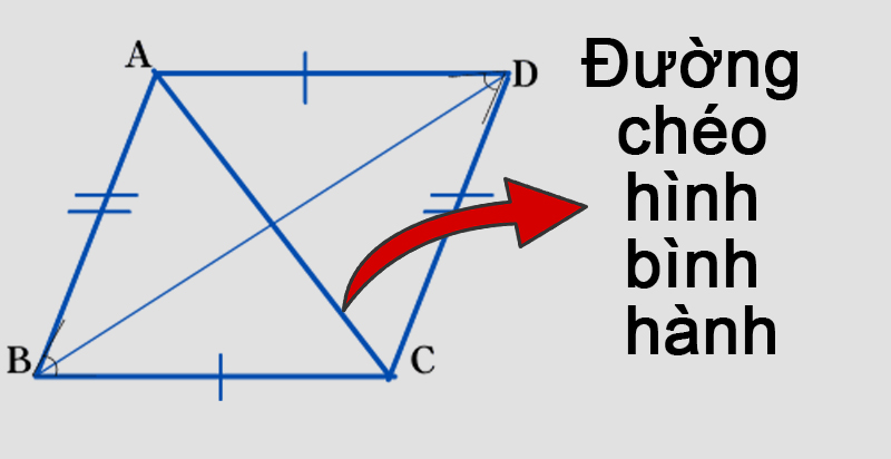 Tứ giác có hai đường chéo cắt nhau tại mỗi trung điểm mỗi đường