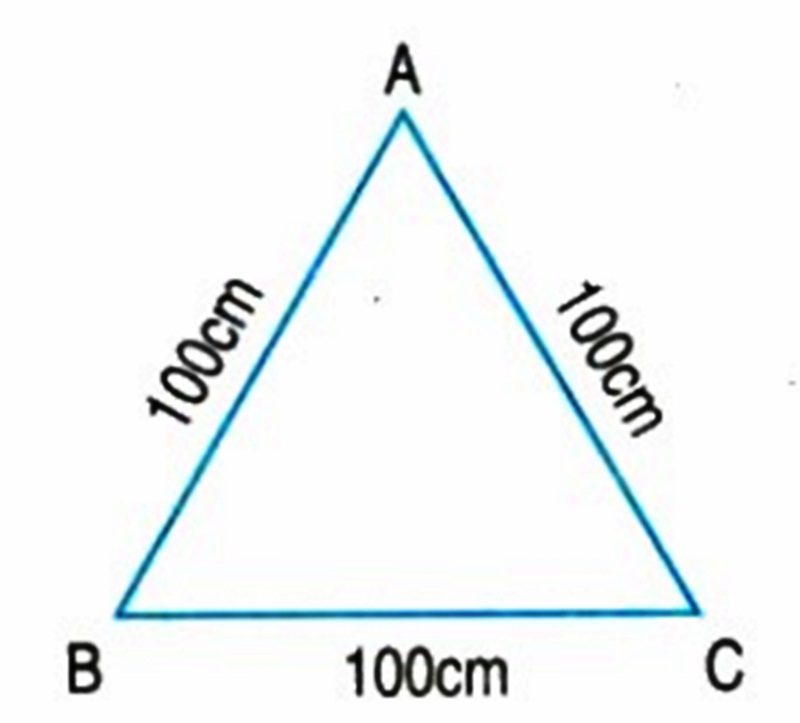 Bài tập cách tính chu vi hình tam giác lớp 3