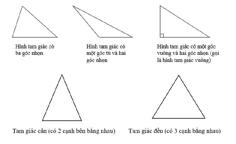 Phân loại các hình tam giác