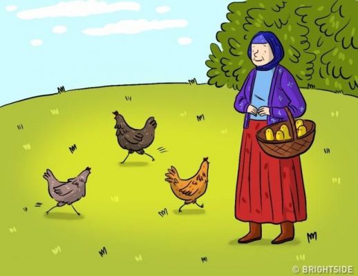 Câu đố 7: Một người phụ nữ có 3 con gà đẻ được 3 quả trứng trong 3 ngày. Một ngày, bà muốn có nhiều trứng hơn nên đã mua thêm 12 con gà. Vậy trong 15 ngày, bà có bao nhiêu quả trứng?