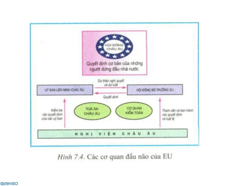Phân tích hình 7.4 để thấy rõ cơ cấu tổ chức và hoạt động của các cơ quan đầu não EU