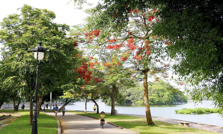 Công viên Thống Nhất – Công viên đẹp ở Hà Nội