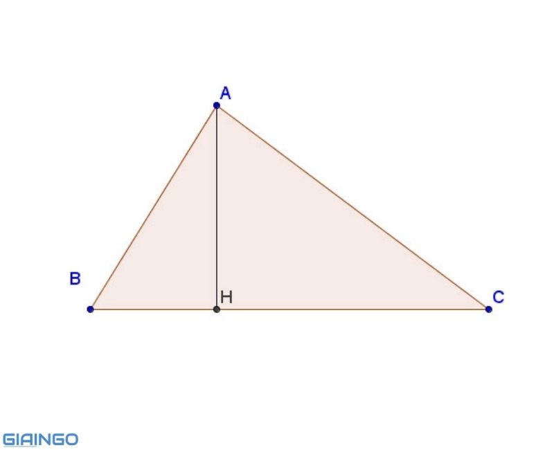 Đường cao trong tam giác là gì?