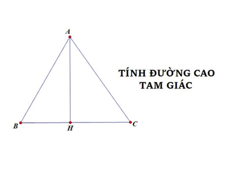 Đường cao trong tam giác đều là gì?