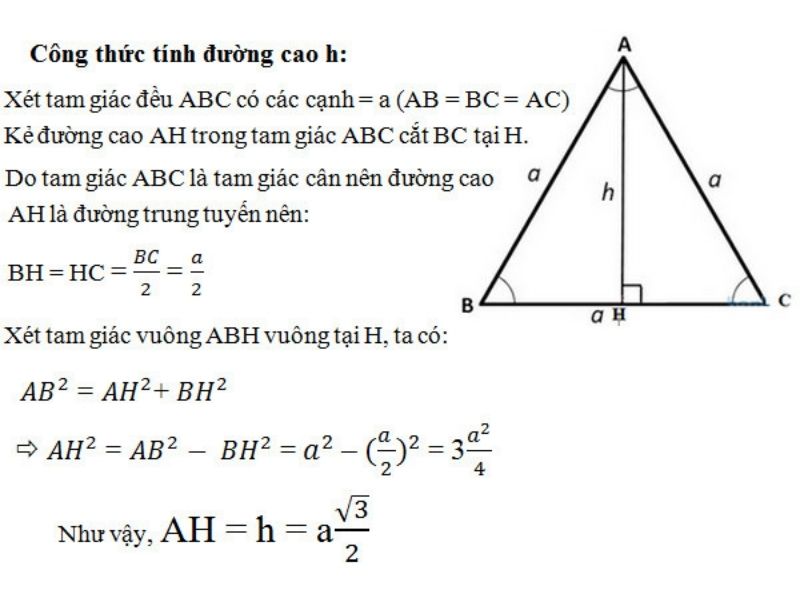 Tính đường cao trong tam giác đều dựa vào công thức tính đường cao trong tam giác cân