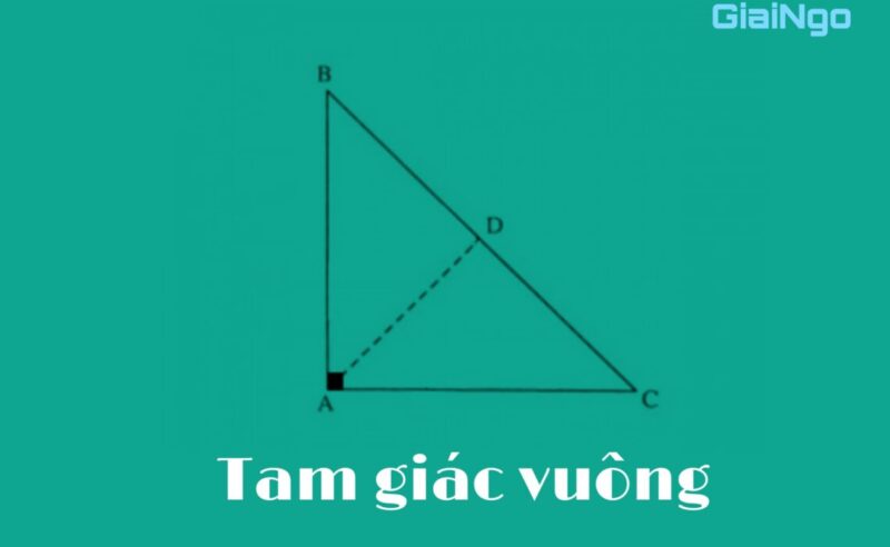 Tính chất đường trung tuyến trong tam giác vuông