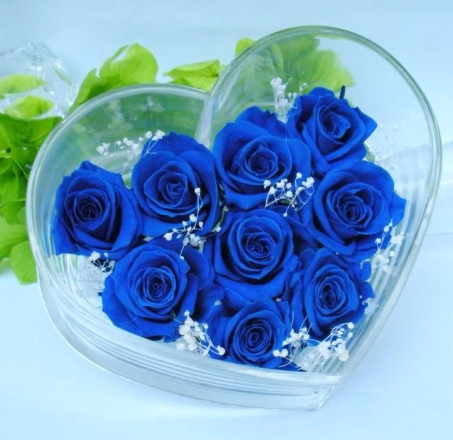 Những hình ảnh bó hoa hồng xanh đẹp nhất