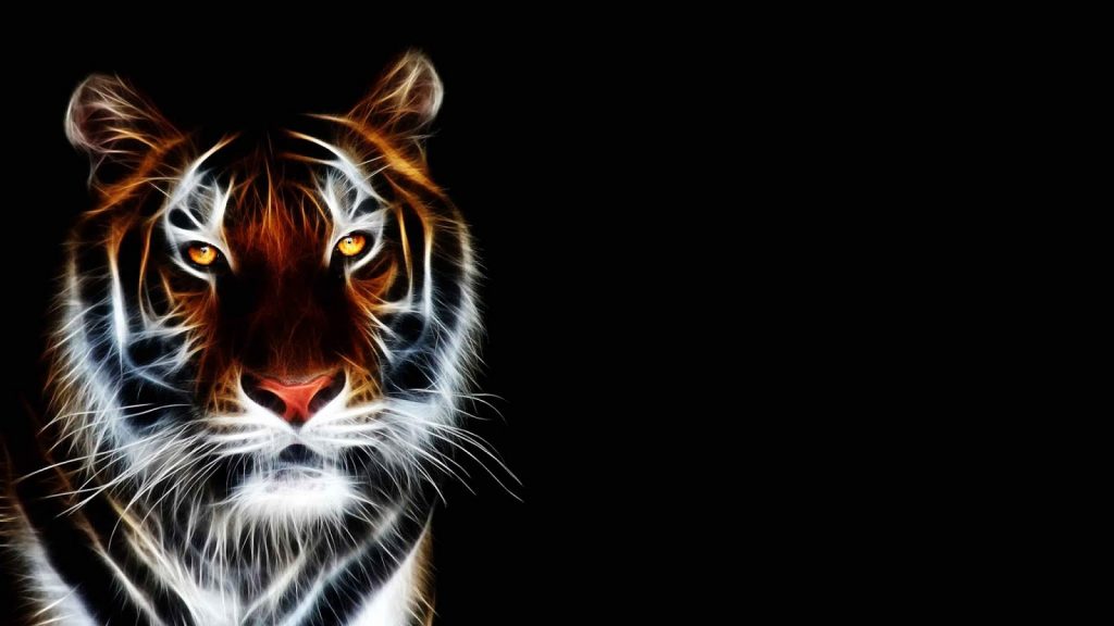 Những hình ảnh con hổ đẹp nhất, chất lượng cao