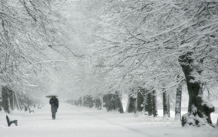 Hình ảnh đẹp về tình yêu mùa đông buồn đơn côi, xót xa nhất