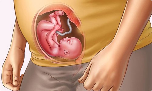 Chùm hình ảnh em bé trong bụng mẹ dễ thương đến lạ