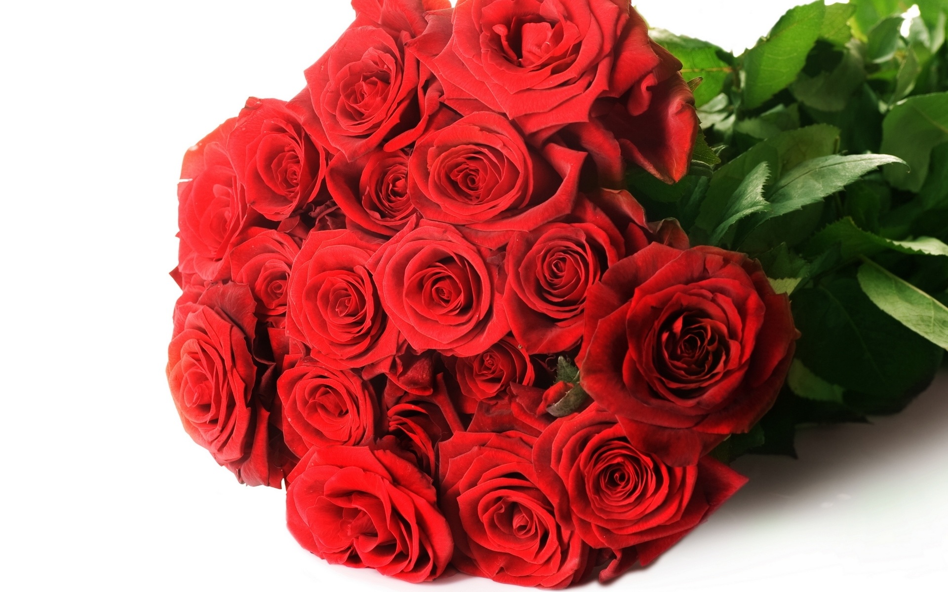 Hình ảnh hoa hồng đẹp tặng sinh nhật