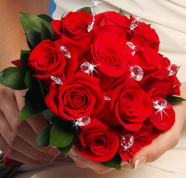 #Những bó hoa hồng nhung sắc nét nhất