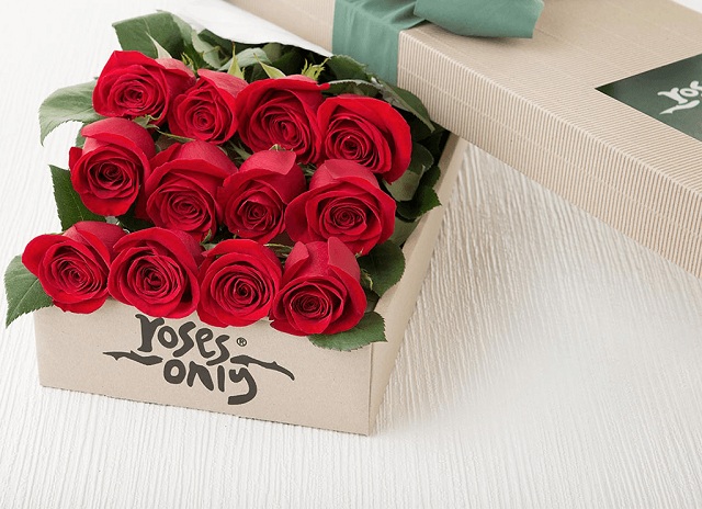 Top hoa hồng tình yêu đẹp nhất được yêu thích