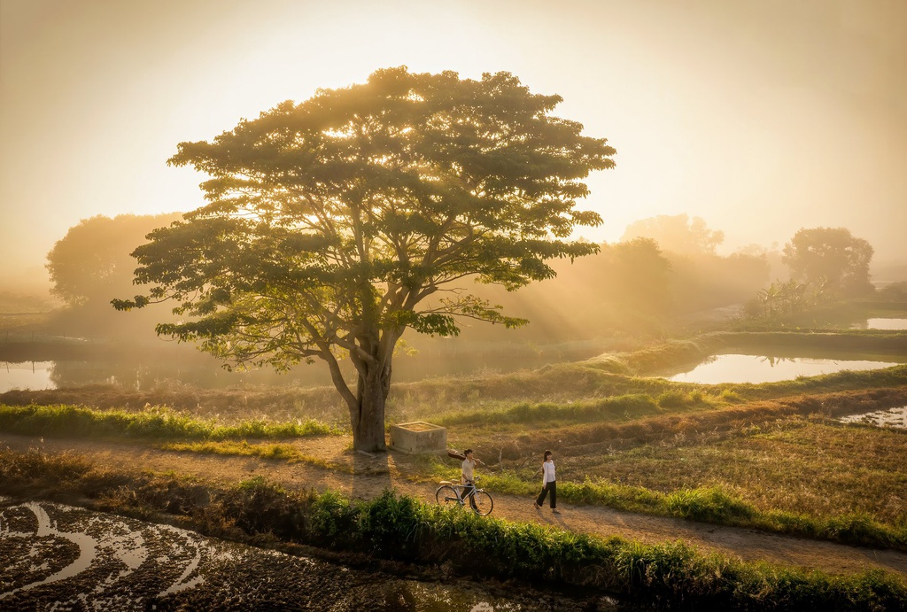 Ngắm loạt hình ảnh làng quê Việt Nam mộc mạc, yên bình