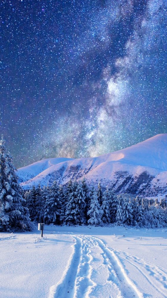 Bộ hình ảnh tuyết rơi mùa đông đẹp nhất trên thế giới