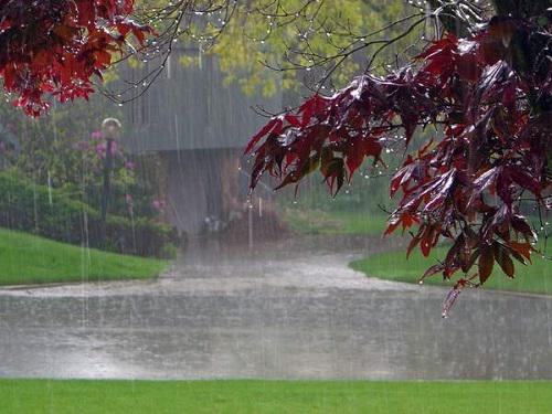 Chọn lọc hình ảnh trời mưa buồn đẹp nhất