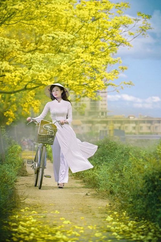 Hình ảnh thiếu nữ Việt Nam bên hoa bốn mùa 
