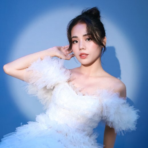 Sự nghiệp của Hương Ly