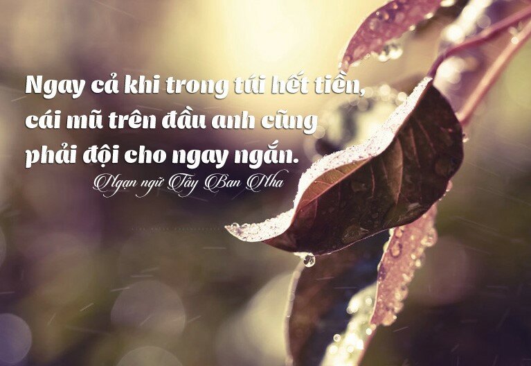 Những câu nói hay về lòng tự trọng