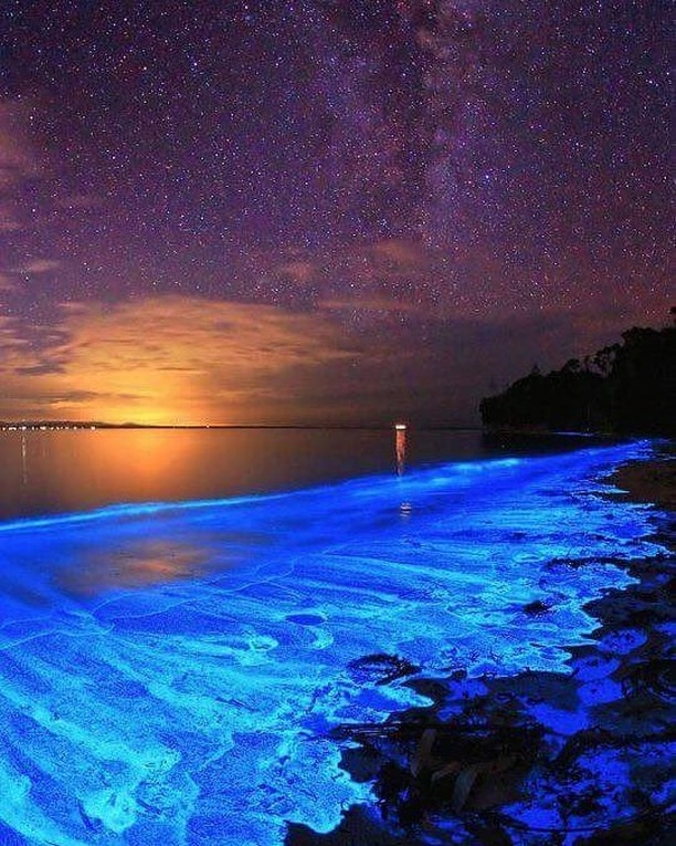 Ngắm bãi biển phát sáng tại Maldives