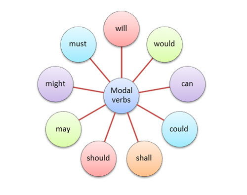 Các loại modal verb là gì?