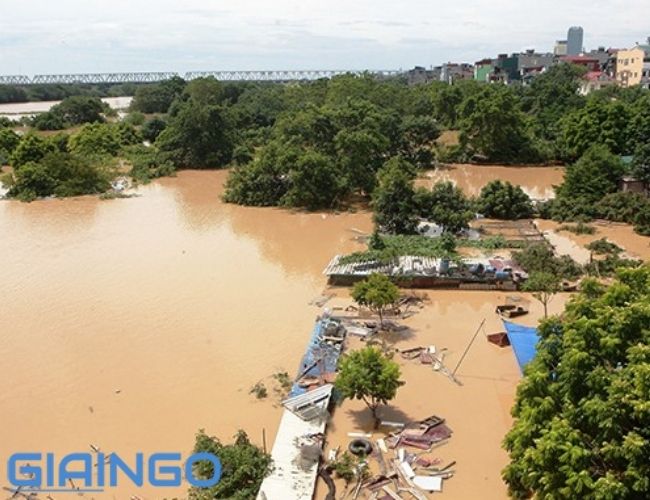 Nêu cách phòng chống lũ lụt ở đồng bằng sông Hồng