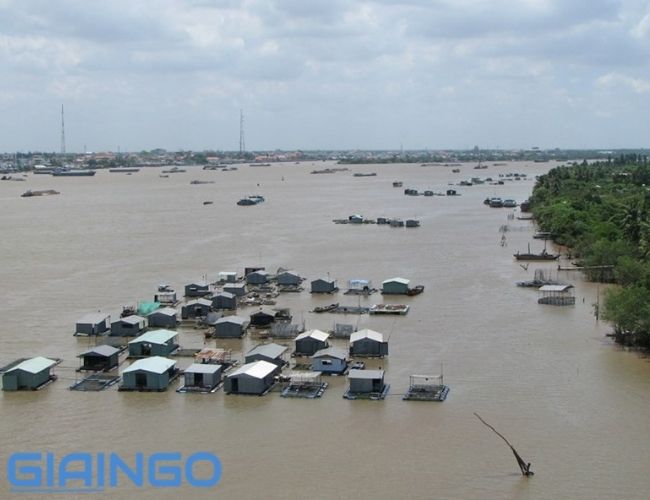 Cách phòng chống lũ lụt ở đồng bằng sông Cửu Long