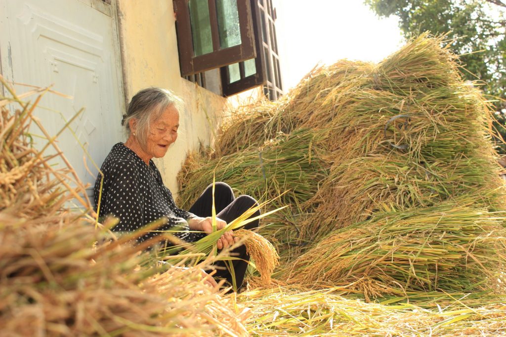 Bộ hình ảnh làng quê nghèo Việt Nam bao đời nay vẫn thế