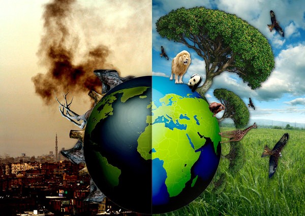 Nguyên nhân gây ô nhiễm môi trường trên thế giới