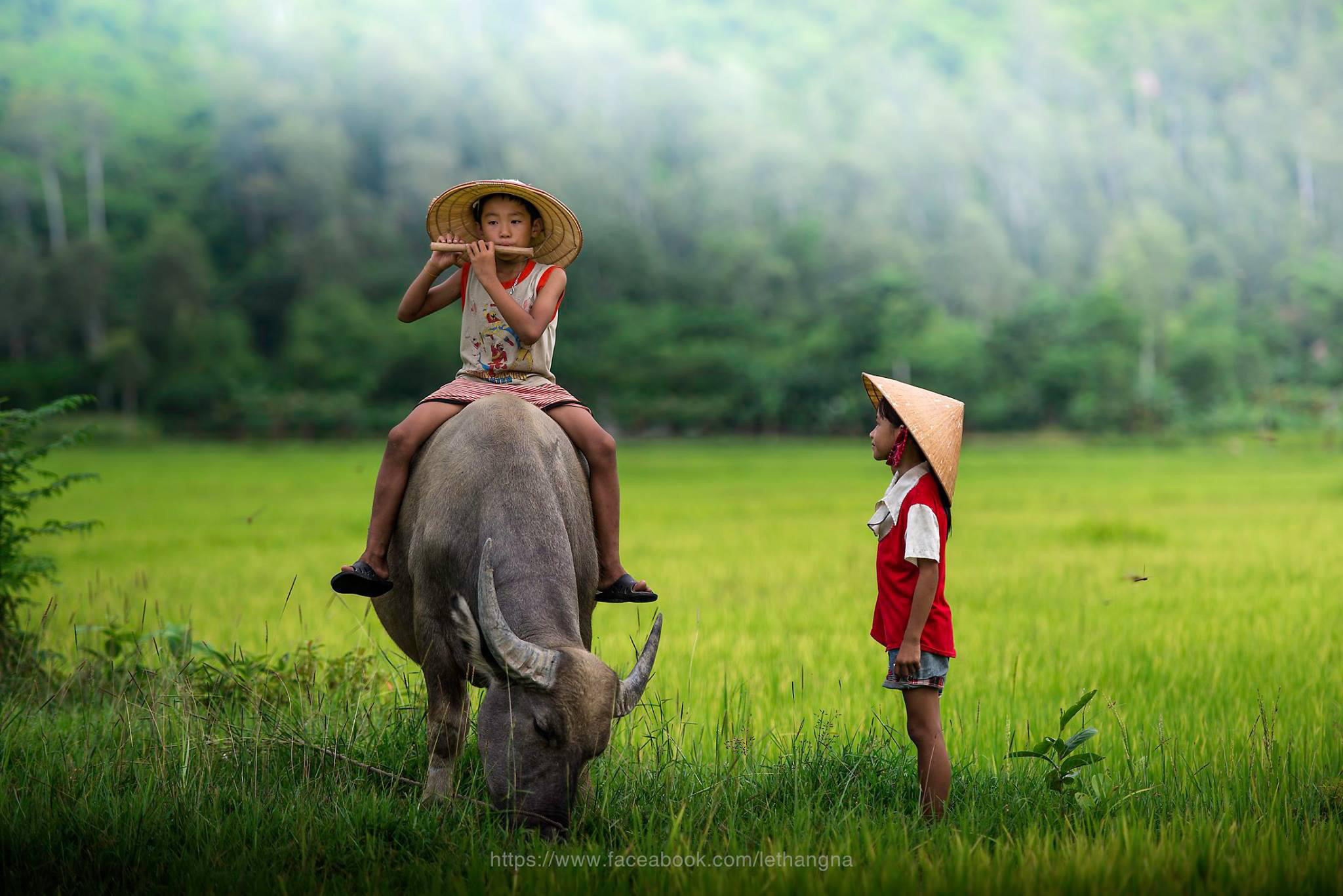 Nhanh tay tải về những hình ảnh làng quê Việt Nam với nét đẹp bình dị