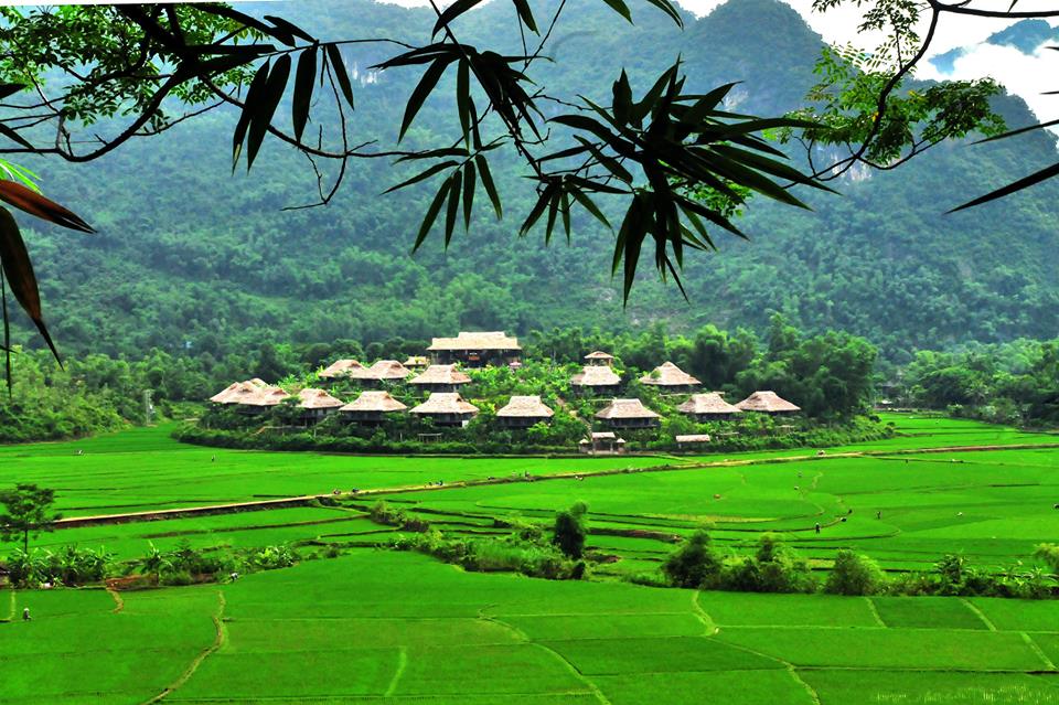 Chọn lọc những hình ảnh đẹp nhất về nông thôn Việt Nam