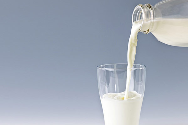 Uống sữa tươi hằng ngày