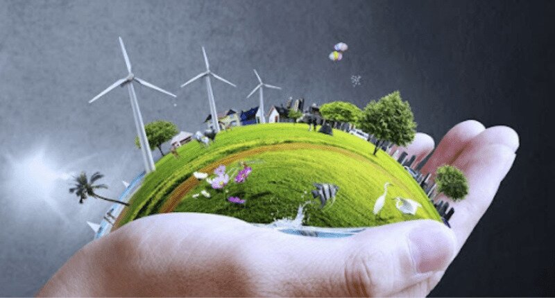 Vai trò của quang hợp là gì?