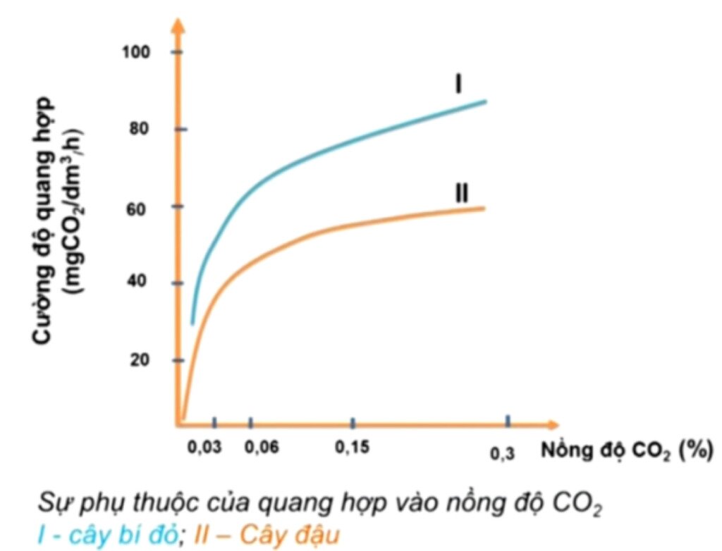 Nồng độ CO2