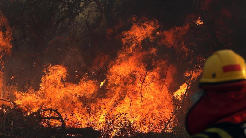 Số vụ cháy tại rừng nhiệt đới Amazon tăng kỷ lục
