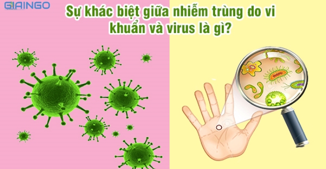 Sự khác nhau giữa nhiễm vi khuẩn và nhiễm virus