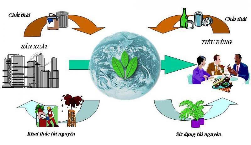 Tại sao phải bảo vệ môi trường? Vai trò của môi trường là gì?