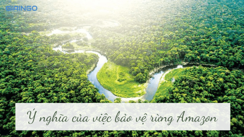 Ý nghĩa của việc bảo vệ rừng Amazon