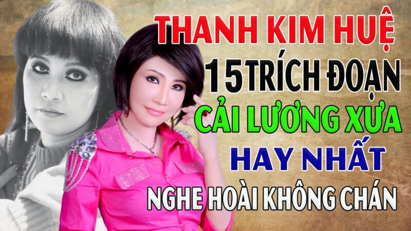 Sự nghiệp diễn xuất của Thanh Kim Huệ
