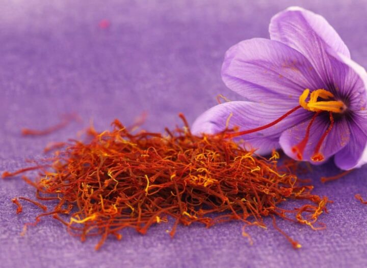 Saffron – Nhụy hoa nghệ tây hữu cơ
