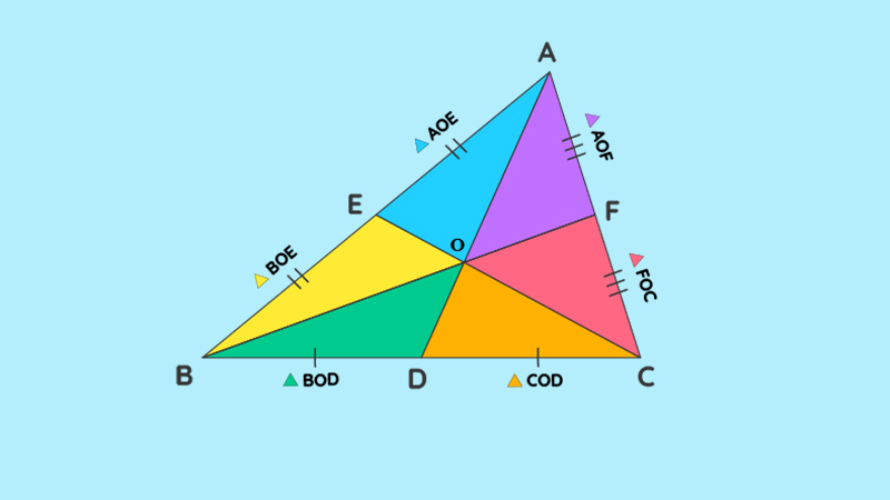 Chia thành các tam giác nhỏ có diện tích bằng nhau