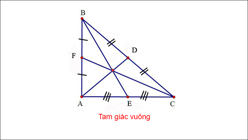 Đường trung tuyến trong tam giác vuông