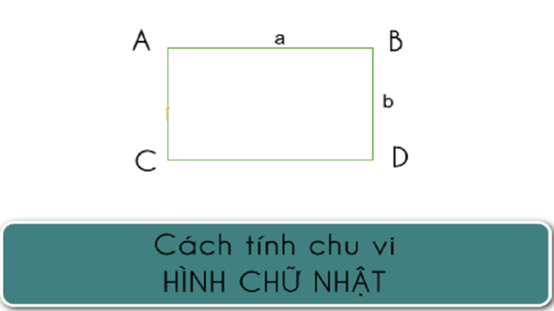 Công thức tính chu vi hình chữ nhật