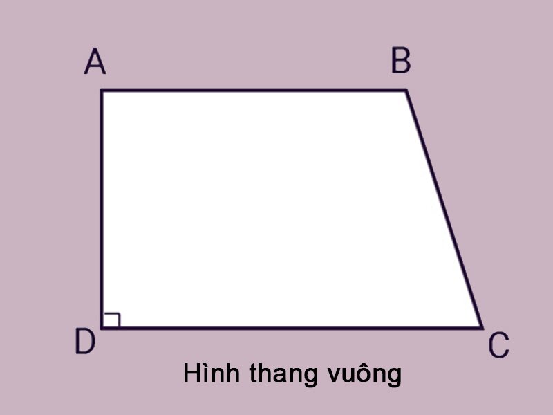 Tính chất hình thang vuông